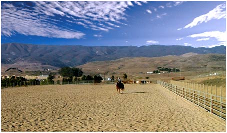 Central Coast Horse Boarding and Training riding arenas