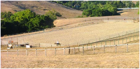 Central Coast Horse Boarding and Training riding arenas in San Luis Obispo CA