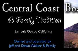Horse Boarding and Training San Luis Obispo