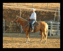 Central Coast Horse Boarding and Training San Luis Obispo