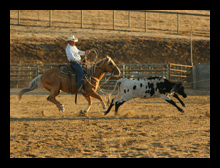 Roping chutes available
