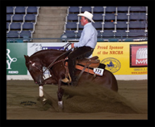 Horse Training